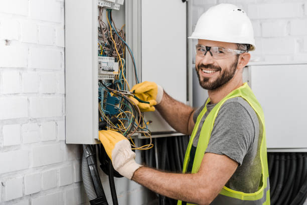 Best Electrician for Home Renovation  in Kincaid, IL